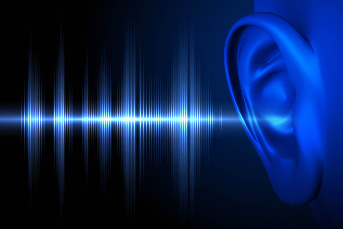 Hear The Sound Wave